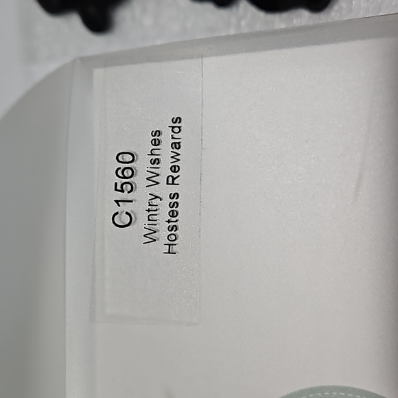 CTMH  WINTRY WISHES my Acrylix stamps - Picture 3 of 3